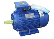 Motor động cơ điện Chimppro YL