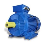 Motor động cơ điện Motology Malaysia